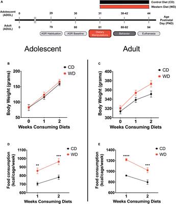 Adolescent Vulnerability to Heightened Emotional Reactivity and Anxiety After Brief Exposure to an Obesogenic Diet